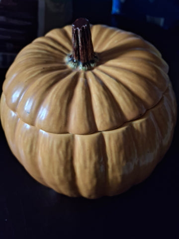 Z-Medium size Pumpkin container