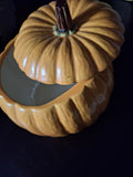 Z-Medium size Pumpkin container