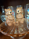 Z-Squirrel Salt n Pepper shakers
